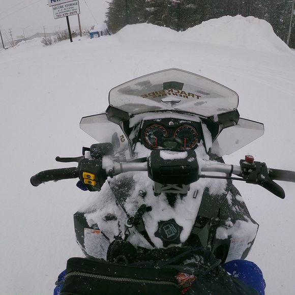 Meet your Posher, Michael - Picture 1 of 1